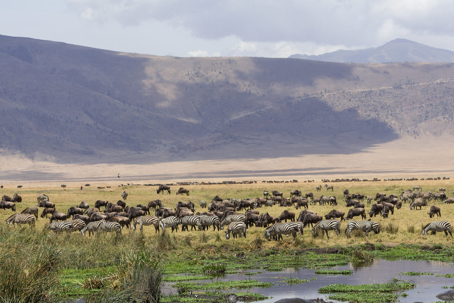 ngorongoro-crater