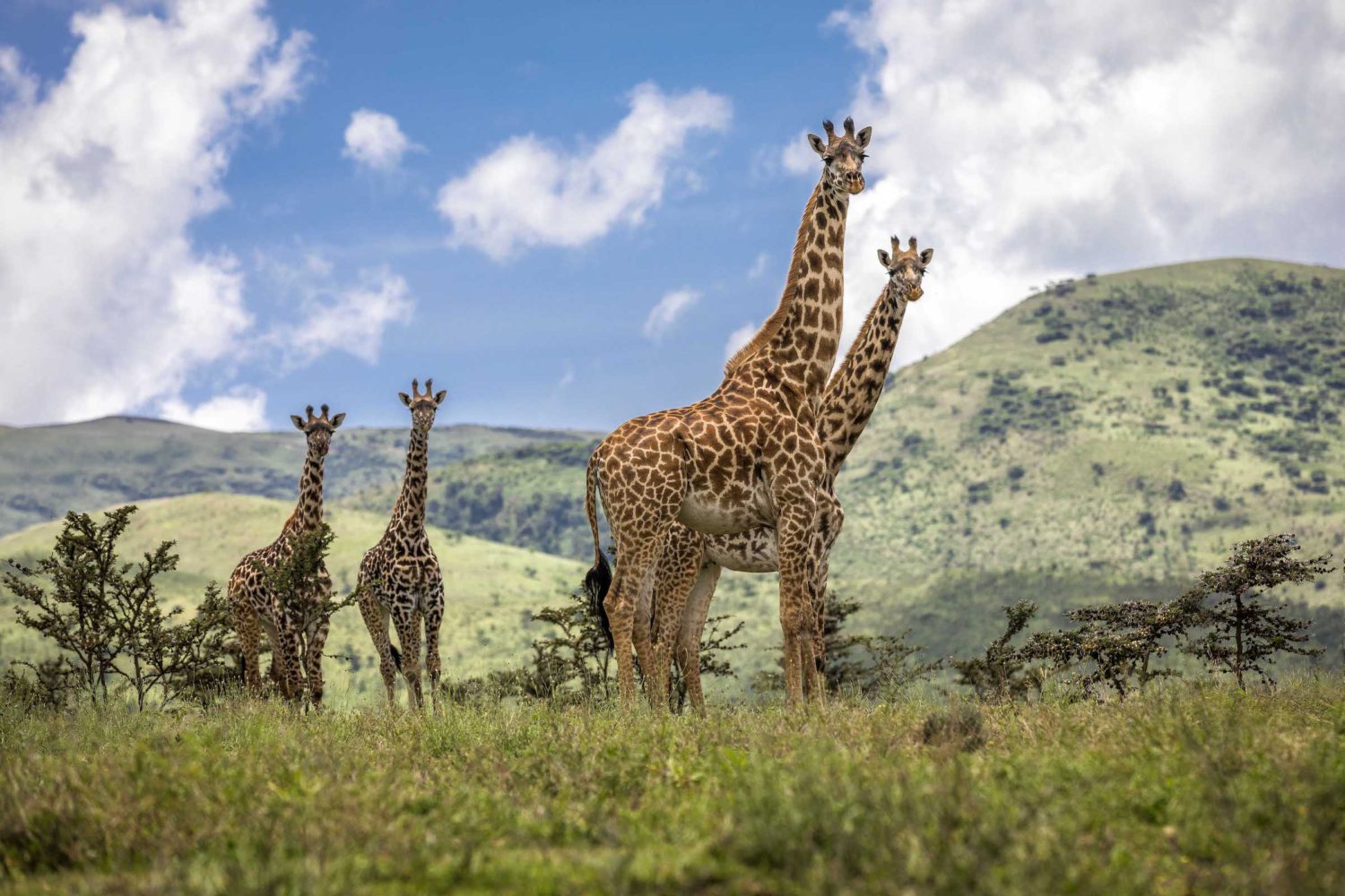 Day-Trip-Arusha-National-Park