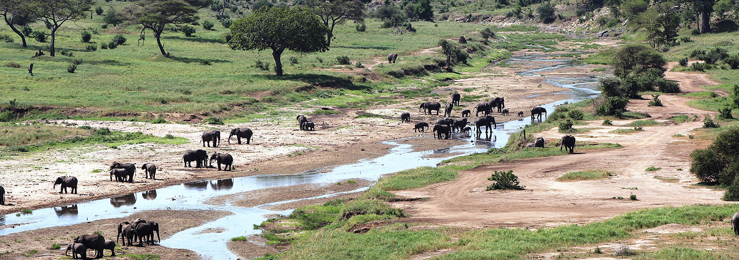 Tarangire National Park