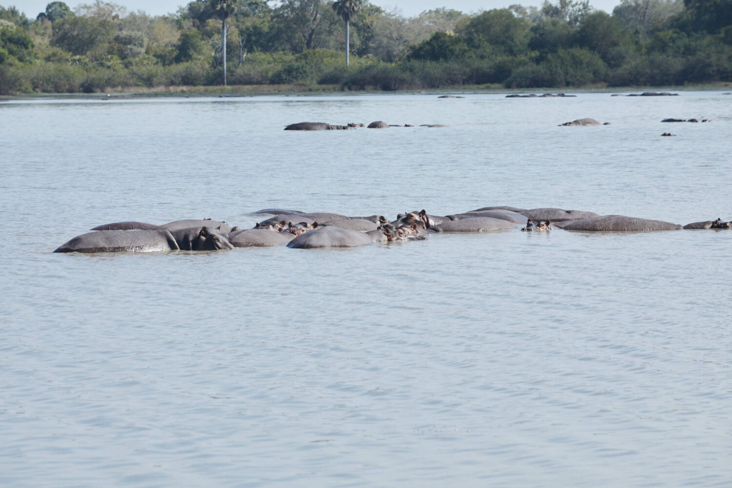 2 day safari from Zanzibar