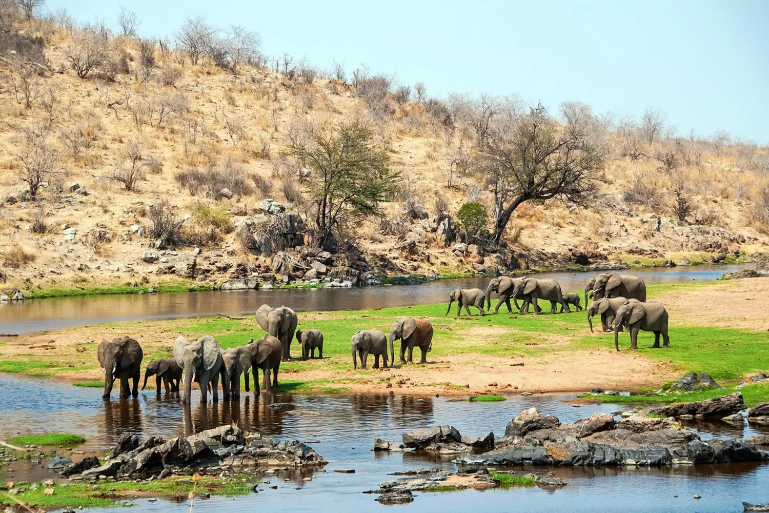 ruaha-national-park-featured