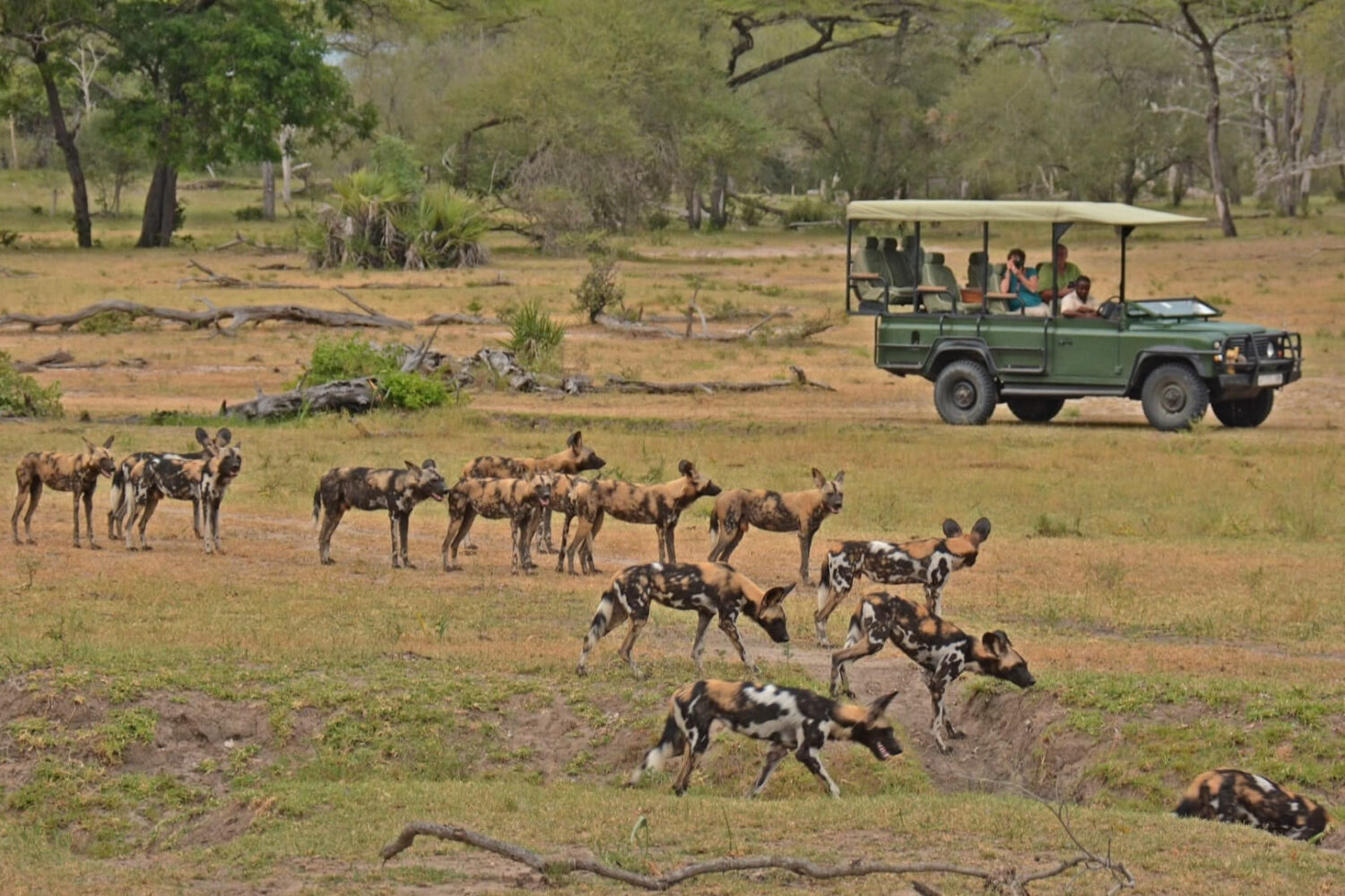 nyerere-national-park2