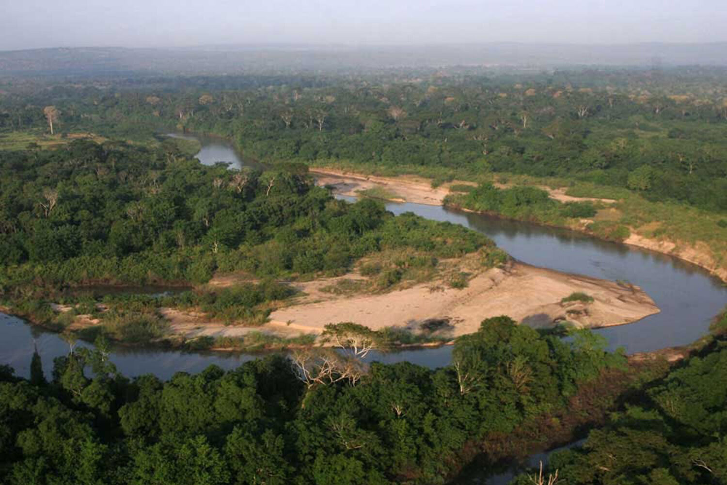 saadani-8-1920×1820