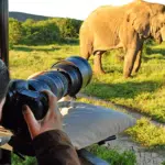 Tanzania Photographic Safari